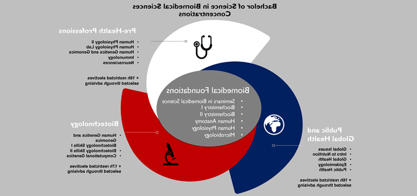 Image of biomedical sciences concentrations.